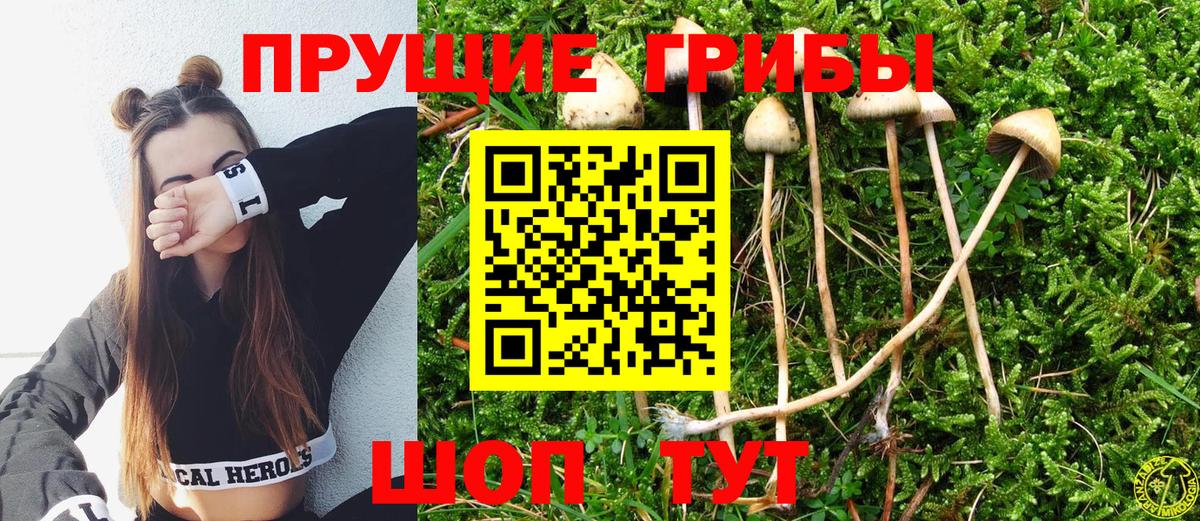 Галлюциногенные грибы мухоморы  Вход с VPN  Псилоцибиновые грибы Magic Shrooms  Хасавюрт 